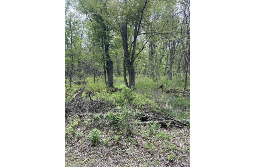 2.8 AC Deer Run Rd, Montello, WI 53949