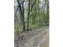 2.8 AC Deer Run Rd, Montello, WI 53949