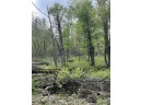 2.8 AC Deer Run Rd, Montello, WI 53949