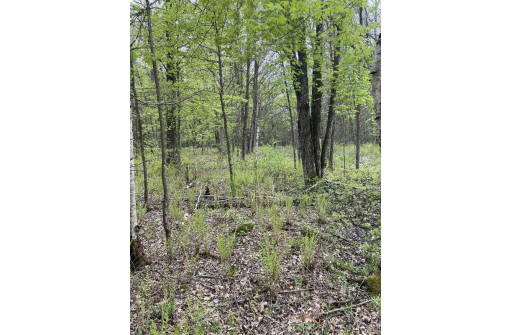 2.8 AC Deer Run Rd, Montello, WI 53949