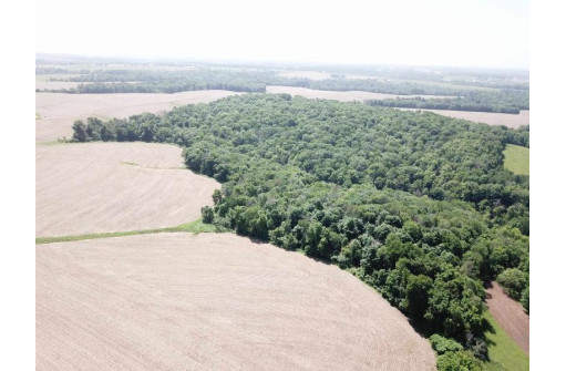 +/- 25 ACRE County Road F, Hillsboro, WI 54634