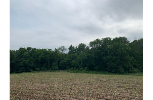 +/- 25 ACRE County Road F, Hillsboro, WI 54634