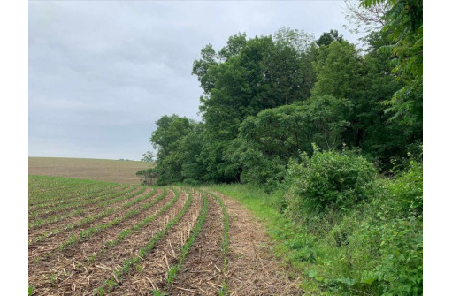 +/- 25 ACRE County Road F, Hillsboro, WI 54634