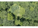 27 ACRES Bluff Rd, Greenfield, WI 53913