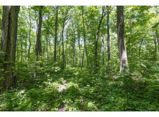 27 ACRES Bluff Rd Greenfield, WI 53913