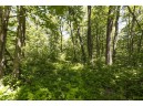 27 ACRES Bluff Rd, Greenfield, WI 53913