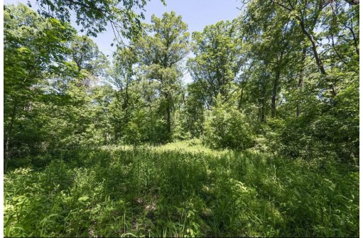 27 ACRES Bluff Rd, Greenfield, WI 53913