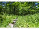 27 ACRES Bluff Rd, Greenfield, WI 53913