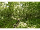 27 ACRES Bluff Rd, Greenfield, WI 53913