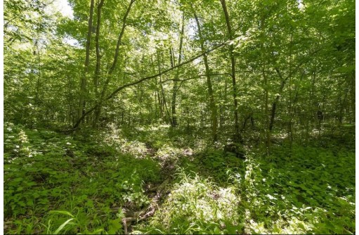 27 ACRES Bluff Rd, Greenfield, WI 53913