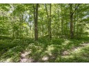 27 ACRES Bluff Rd, Greenfield, WI 53913