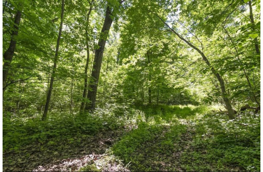 27 ACRES Bluff Rd, Greenfield, WI 53913