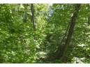 27 ACRES Bluff Rd, Greenfield, WI 53913