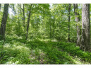 27 ACRES Bluff Rd, Greenfield, WI 53913