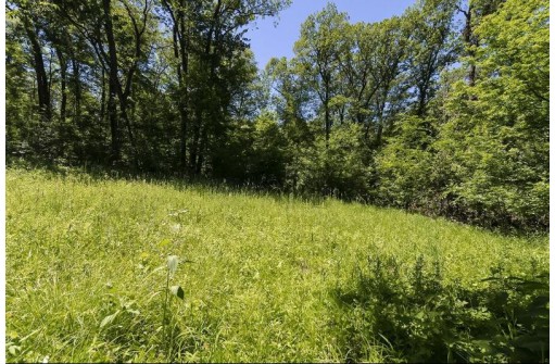 27 ACRES Bluff Rd, Greenfield, WI 53913