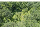 27 ACRES Bluff Rd, Greenfield, WI 53913