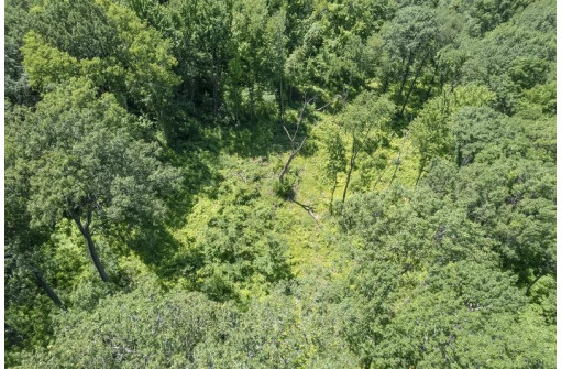 27 ACRES Bluff Rd, Greenfield, WI 53913