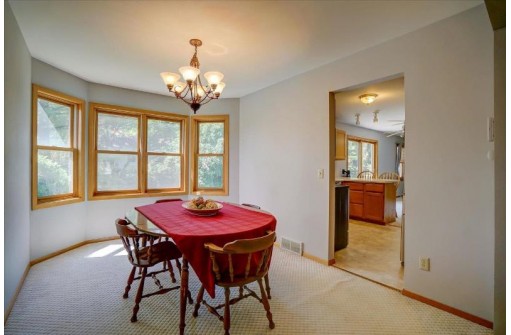 21 Star Fire Ct, Madison, WI 53719