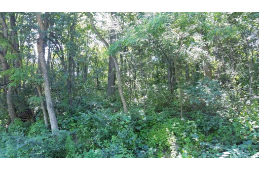 LOT 83 Tall Oaks Rd, Waunakee, WI 53597-9018