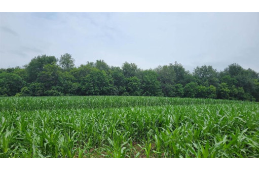 22.63 AC Rocky Point Rd, Baraboo, WI 53913