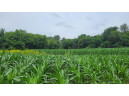 22.63 AC Rocky Point Rd, Baraboo, WI 53913