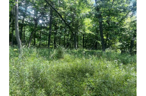 LOT 33 AND 34 Golden Dr, Briggsville, WI 53965