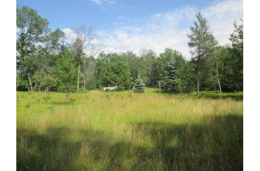 1046 Kings Way, Nekoosa, WI 54457