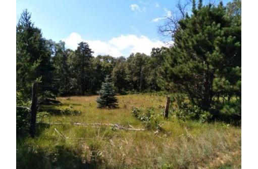 1046 Kings Way, Nekoosa, WI 54457