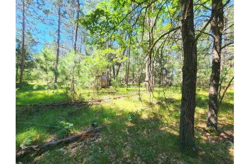 W5624 Hazelnut Ln, Necedah, WI 54646