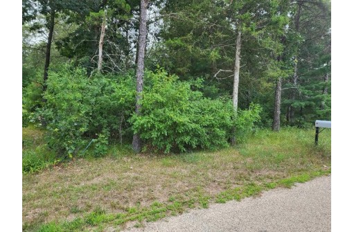 LOT 10 Birch Ave, Friendship, WI 53934