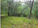 LOT 10 Birch Ave, Friendship, WI 53934