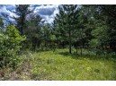 N10315 Timber Ln, Necedah, WI 54646