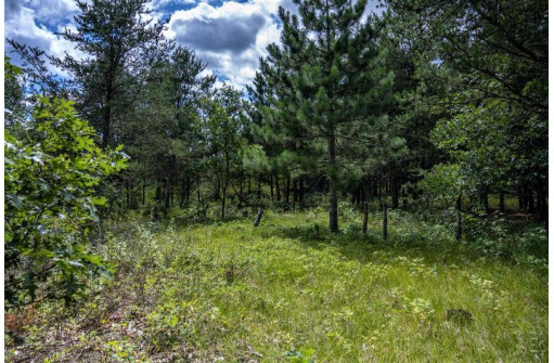 N10315 Timber Ln, Necedah, WI 54646