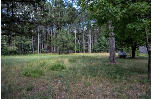 N10315 Timber Ln, Necedah, WI 54646