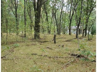 LOT 35 S Duck Creek Ave Adams, WI 53910