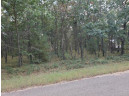 LOT 35 S Duck Creek Ave, Adams, WI 53910