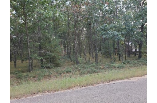 LOT 35 S Duck Creek Ave, Adams, WI 53910