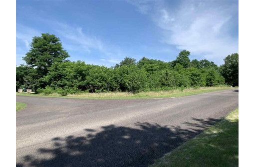 LOT28 Busse Ln, Baraboo, WI 53913