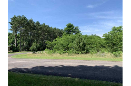 LOT28 Busse Ln, Baraboo, WI 53913