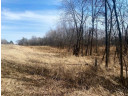 12.28 ACRES Hwy 21, Tomah, WI 54660