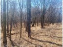 12.28 ACRES Hwy 21, Tomah, WI 54660