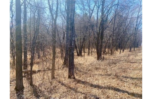 12.28 ACRES Hwy 21, Tomah, WI 54660