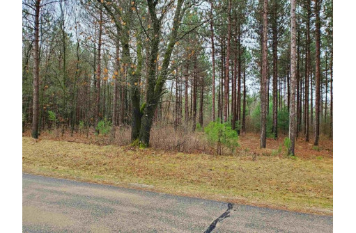 LOT 5 Longview Ln, Nekoosa, WI 54457