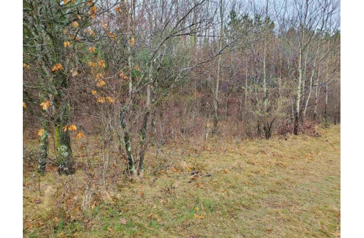 LOT 5 Longview Ln, Nekoosa, WI 54457