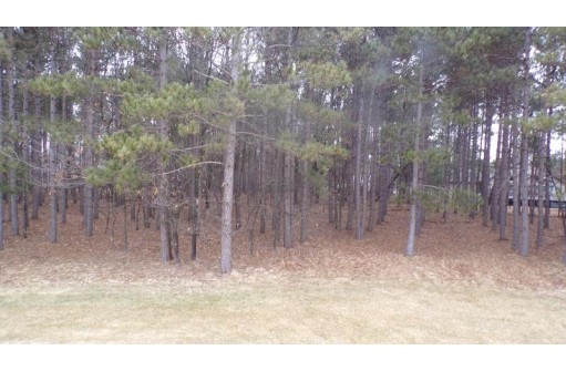 1495 Rain Dance Tr, Nekoosa, WI 54457