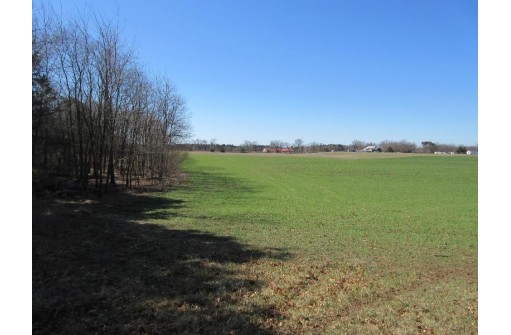 24.93 AC County Road G, Westfield, WI 53964