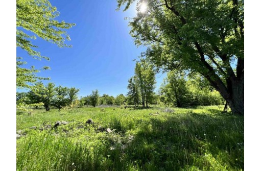 LOT 1 County Road Tt, Marshall, WI 53559