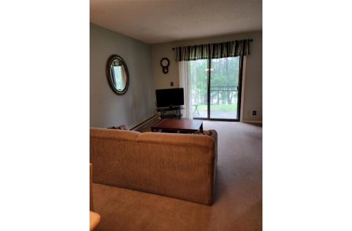 7 Juniper Tr, Wisconsin Dells, WI 53965