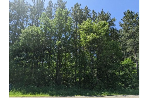 LOT 29 7th St, Necedah, WI 54646