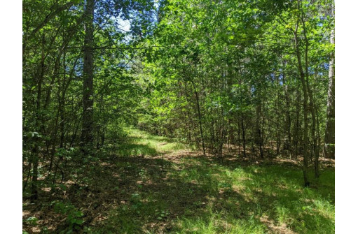 LOT 29 7th St, Necedah, WI 54646